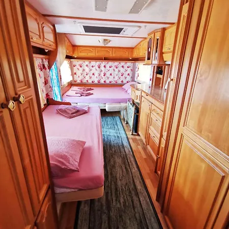 и Kаравани дрийм гардения