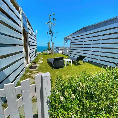 и Kаравани дрийм гардения