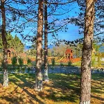 Kаравани дрийм гардения * Китен