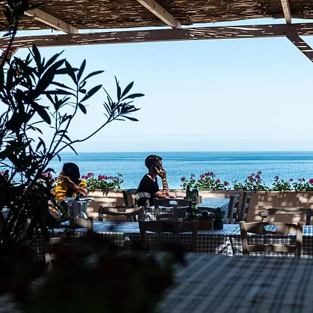 и Kаравани дрийм гардения * קיטן