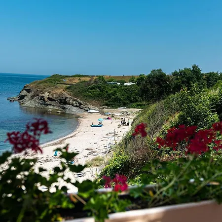 и Kаравани дрийм гардения