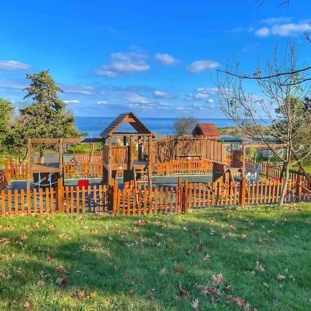 и Kаравани дрийм гардения Naousa