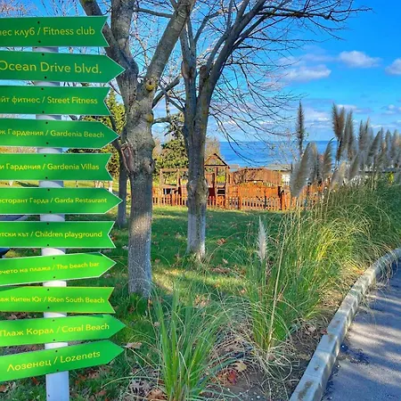 и Kаравани дрийм гардения * קיטן