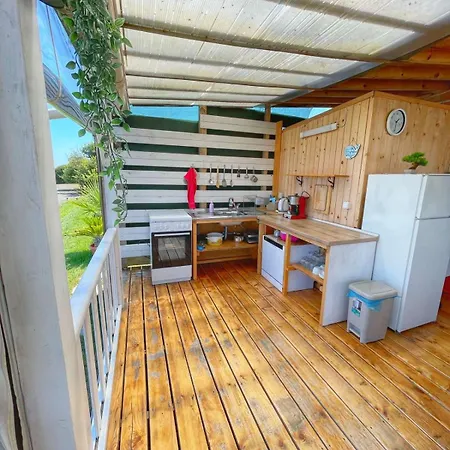 и Kаравани дрийм гардения *