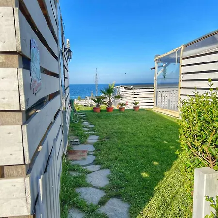 и Kаравани дрийм гардения * קיטן