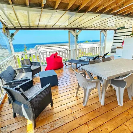 и Kаравани дрийм гардения * קיטן