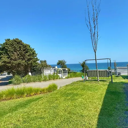 и Kаравани дрийм гардения *