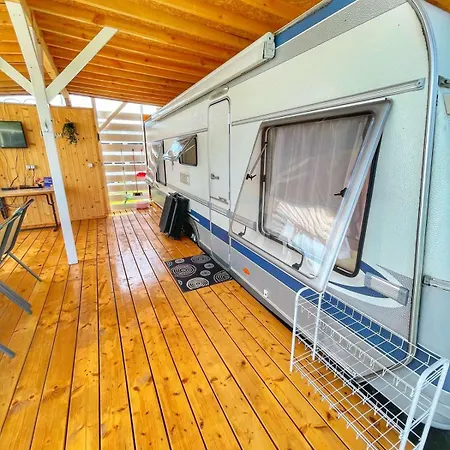 и Kаравани дрийм гардения *