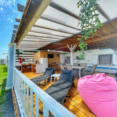 и Kаравани дрийм гардения * קיטן