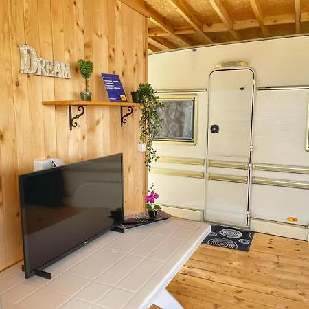 и Kаравани дрийм гардения