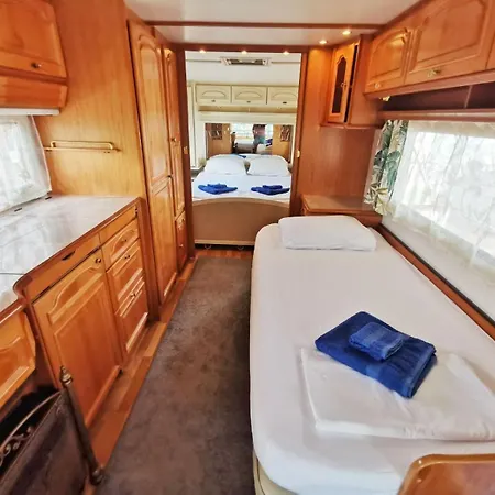 и Kаравани дрийм гардения *