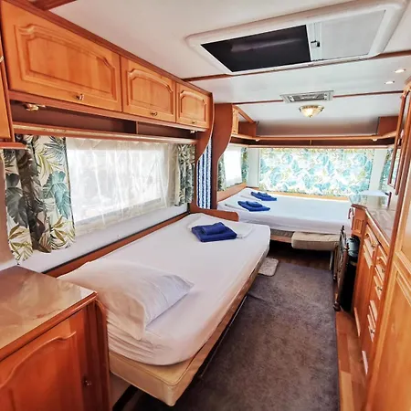 и Kаравани дрийм гардения