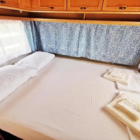 и Kаравани дрийм гардения *