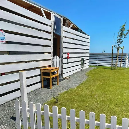 и Kаравани дрийм гардения * קיטן