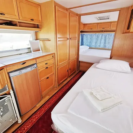 и Kаравани дрийм гардения