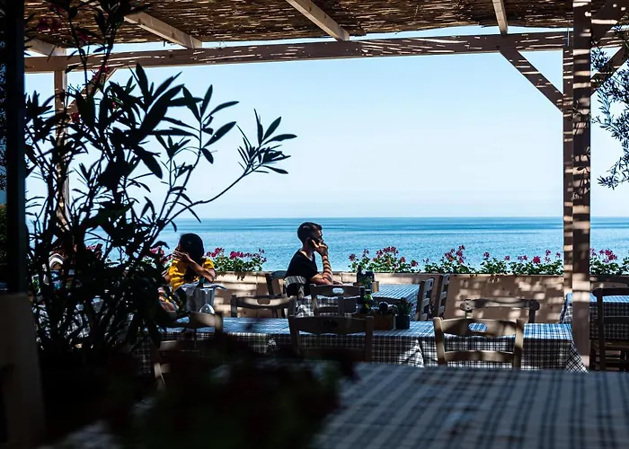 и Kаравани дрийм гардения * Naousa