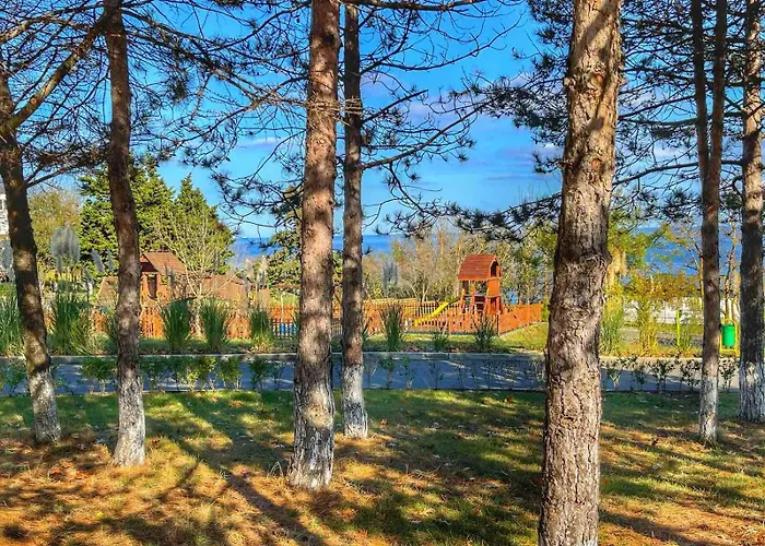 и Kаравани дрийм гардения * Naousa