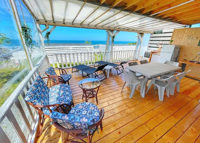 и Kаравани дрийм гардения