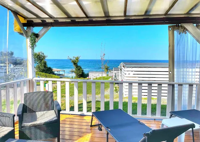 и Kаравани дрийм гардения * Naousa