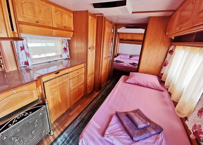 и Kаравани дрийм гардения *